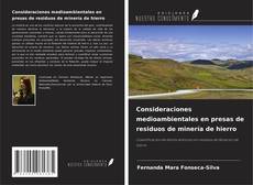 Consideraciones medioambientales en presas de residuos de minería de hierro kitap kapağı