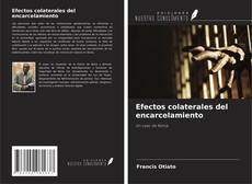 Efectos colaterales del encarcelamiento kitap kapağı