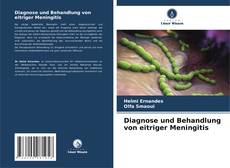 Copertina di Diagnose und Behandlung von eitriger Meningitis
