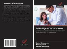 Copertina di DEPRESJA POPORODOWA
