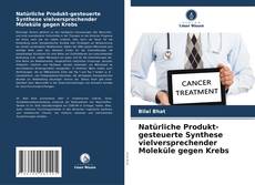 Couverture de Natürliche Produkt-gesteuerte Synthese vielversprechender Moleküle gegen Krebs