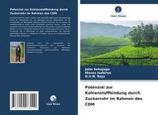 Bookcover of Potenzial zur Kohlenstoffbindung durch Zuckerrohr im Rahmen des CDM