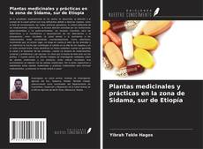Bookcover of Plantas medicinales y prácticas en la zona de Sidama, sur de Etiopía