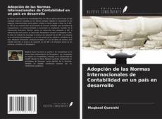 Adopción de las Normas Internacionales de Contabilidad en un país en desarrollo kitap kapağı
