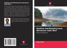 Capa do livro de Analiza morfometryczna dorzecza rzeki Bori 