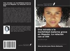Una mirada a la morbilidad materna grave en Maputo. La relación con el VIH kitap kapağı