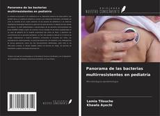 Panorama de las bacterias multirresistentes en pediatría的封面
