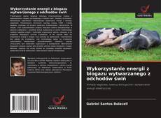 Wykorzystanie energii z biogazu wytwarzanego z odchodów świń kitap kapağı