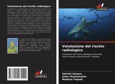 Copertina di Valutazione del rischio radiologico