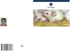 Capa do livro de Auswirkungen einer Natriumfluorid- und Aminosäure-Supplementierung auf die Hoden 