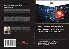 ANALYSE DE LA DYNAMIQUE DES FLUIDES POUR UNE MINE DE MÉTAUX SOUTERRAINE的封面