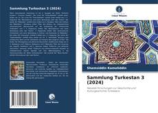 Couverture de Sammlung Turkestan 3 (2024)
