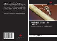 Обложка Imported malaria in Tunisia