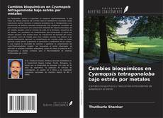 Cambios bioquímicos en Cyamopsis tetragonoloba bajo estrés por metales kitap kapağı