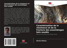 Copertina di Caractérisation de la résistance et de la fracture des assemblages bois soudés