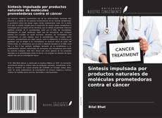 Bookcover of Síntesis impulsada por productos naturales de moléculas prometedoras contra el cáncer