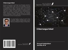 Bookcover of Ciberseguridad