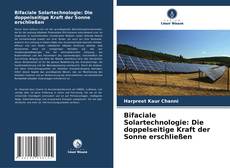 Bifaciale Solartechnologie: Die doppelseitige Kraft der Sonne erschließen kitap kapağı