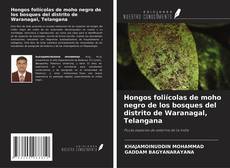 Portada del libro de Hongos foliícolas de moho negro de los bosques del distrito de Waranagal, Telangana