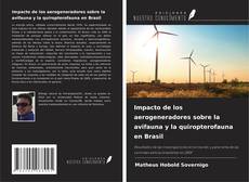 Impacto de los aerogeneradores sobre la avifauna y la quiropterofauna en Brasil kitap kapağı