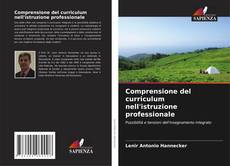 Copertina di Comprensione del curriculum nell'istruzione professionale
