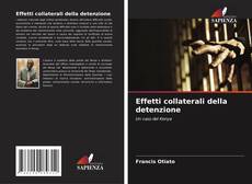 Copertina di Effetti collaterali della detenzione
