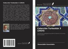Colección Turkestán 3 (2024) kitap kapağı