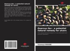 Обложка Quercus ilex : a potential natural remedy for ulcers