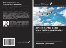 Determinantes de las importaciones agregadas的封面