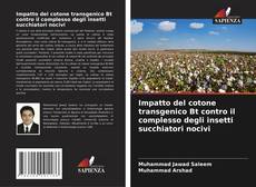 Copertina di Impatto del cotone transgenico Bt contro il complesso degli insetti succhiatori nocivi
