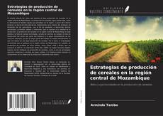Copertina di Estrategias de producción de cereales en la región central de Mozambique