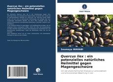Couverture de Quercus ilex : ein potenzielles natürliches Heilmittel gegen Magengeschwüre