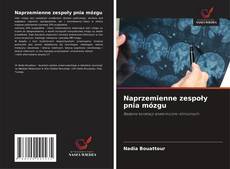 Naprzemienne zespoły pnia mózgu kitap kapağı