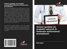 Обложка Sintesi guidata da prodotti naturali di molecole antitumorali promettenti