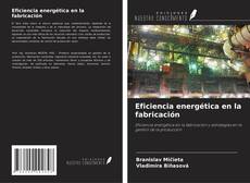 Eficiencia energética en la fabricación的封面