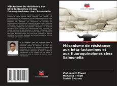 Copertina di Mécanisme de résistance aux bêta-lactamines et aux fluoroquinolones chez Salmonella