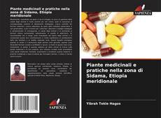 Borítókép a  Piante medicinali e pratiche nella zona di Sidama, Etiopia meridionale - hoz