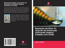 Remoção do Blue 21 através de biosorção utilizando bagaço tratado com ácido的封面