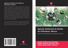 Borítókép a  Agenda Ambiental do Estado de Chihuahua, México - hoz