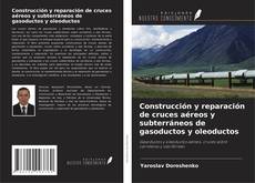 Construcción y reparación de cruces aéreos y subterráneos de gasoductos y oleoductos kitap kapağı