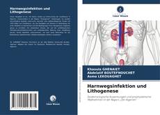 Capa do livro de Harnwegsinfektion und Lithogenese 