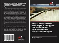 Analisi dei cedimenti delle dighe e sviluppo di uno strumento di valutazione della sicurezza delle dighe的封面
