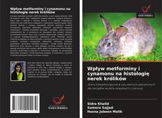 Copertina di Wpływ metforminy i cynamonu na histologię nerek królików