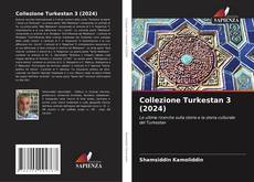 Bookcover of Collezione Turkestan 3 (2024)