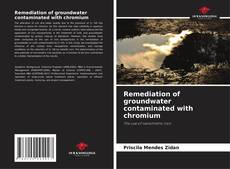 Copertina di Remediation of groundwater contaminated with chromium