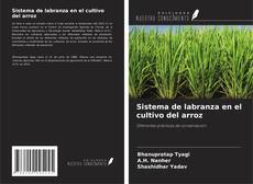 Capa do livro de Sistema de labranza en el cultivo del arroz 