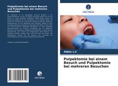 Borítókép a  Pulpektomie bei einem Besuch und Pulpektomie bei mehreren Besuchen - hoz