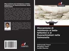 Copertina di Meccanismo di resistenza ai beta-lattamici e ai fluorochinoloni nella Salmonella