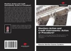 Copertina di Monitory Action and Credit Instruments: Action or Procedure?