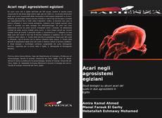 Acari negli agrosistemi egiziani的封面